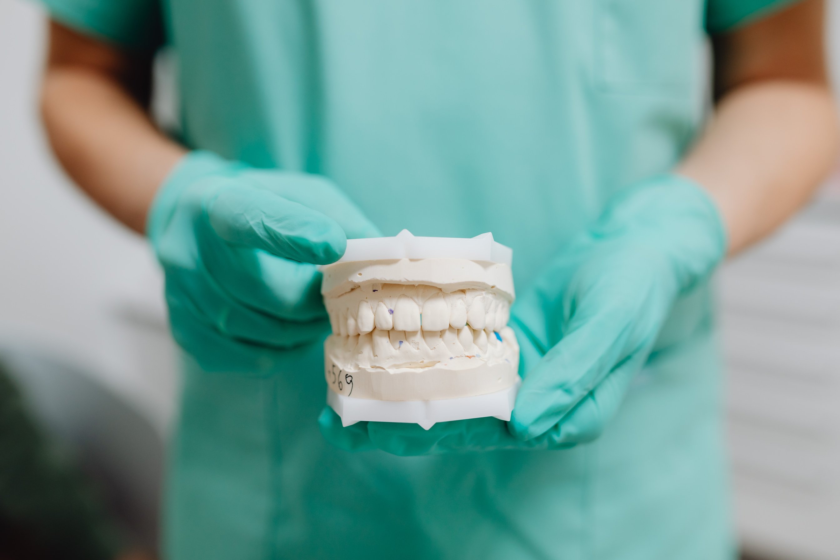 Close-up Photo of Dental Cast 